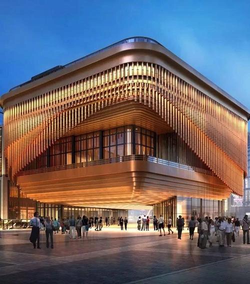 夫彼得鲁维奥建筑设计师工作计划