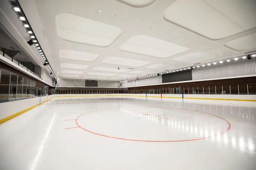 室内运动馆建筑成本工作总结