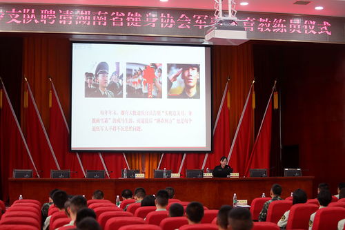 协会的主要职能