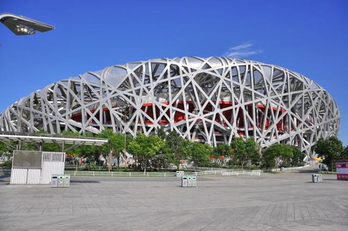 广州恒大图标是什么动物