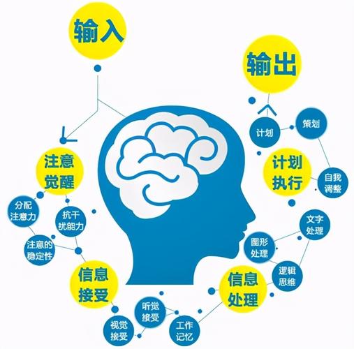 权威机构数据与报告