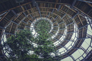 探索建筑的多元表达，活动复数视角下的空间艺术与创新实践