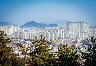 引领未来，从二级建造师到建筑大师的创新之路
