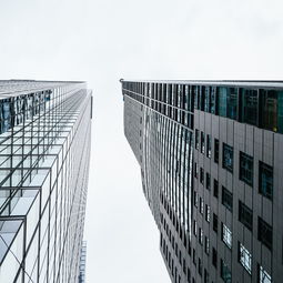 现代住宅建筑的艺术与规范，图解篇