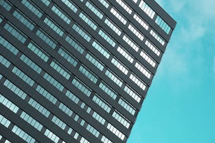 建造行业的金蓝领之路，揭秘二建考试的经济成本与价值投资