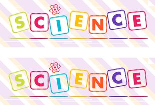 探秘萤字，如何正确发音及深入了解这种奇妙生物