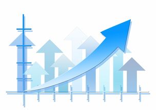 解锁自我，深度理解MBTI性格类型，成就更丰富的个人生活