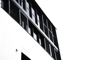 探索建筑师的人格魅力，创新与细致的交织
