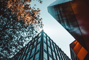 建筑大师的视角，解读信息项目管理师的挑战与价值
