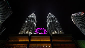 高耸入云的城市艺术，现代建筑大师眼中的世界级地标