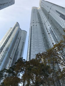 揭秘建筑界的黄金八强:你的未来职业蓝图