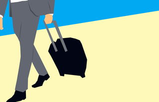 民航资源网最新招聘信息，开启您的航空职业之旅