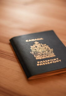 庆祝成功！我们的公司资质申请之旅