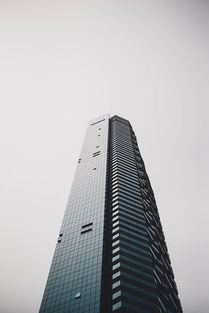 资讯行业，信息时代的桥梁